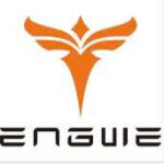 Engwe