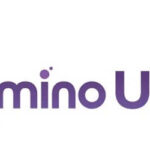 Aminousa