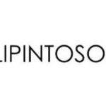 Slipintosoft
